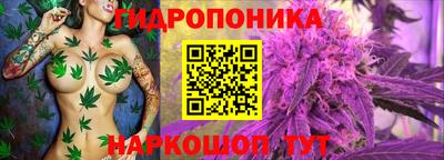 твердый Заволжье