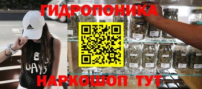 PSILOCYBIN Заводоуковск