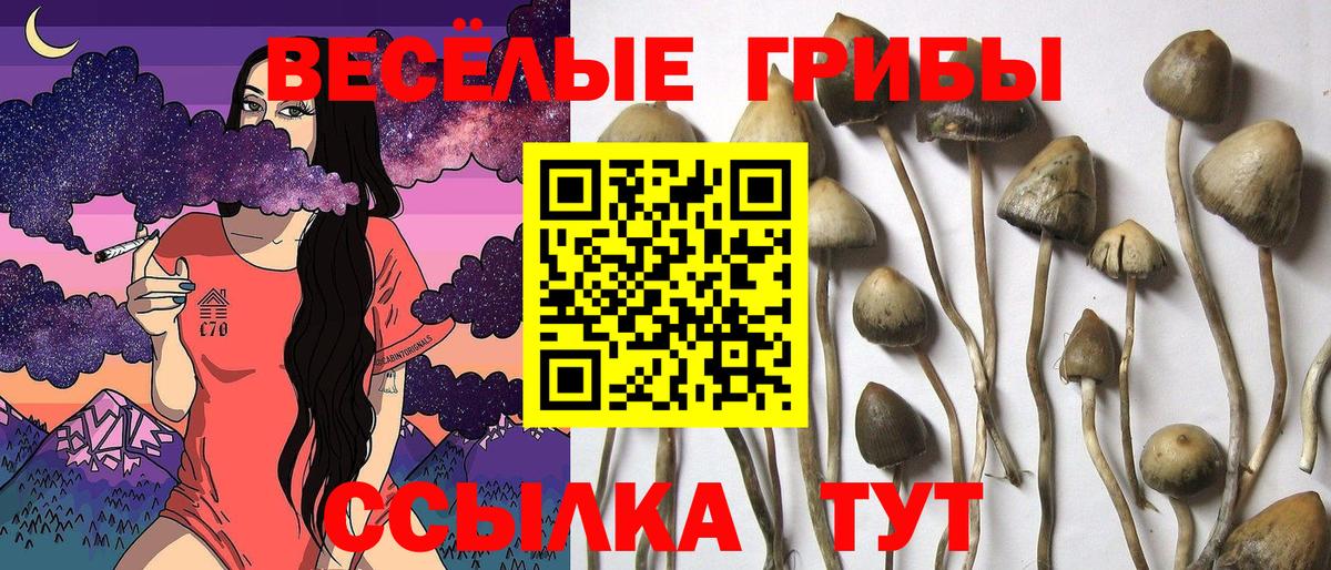 Галлюциногенные грибы ЛСД Можайск