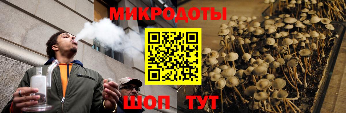 Галлюциногенные грибы Psilocybine cubensis  Вход с VPN  Можайск 